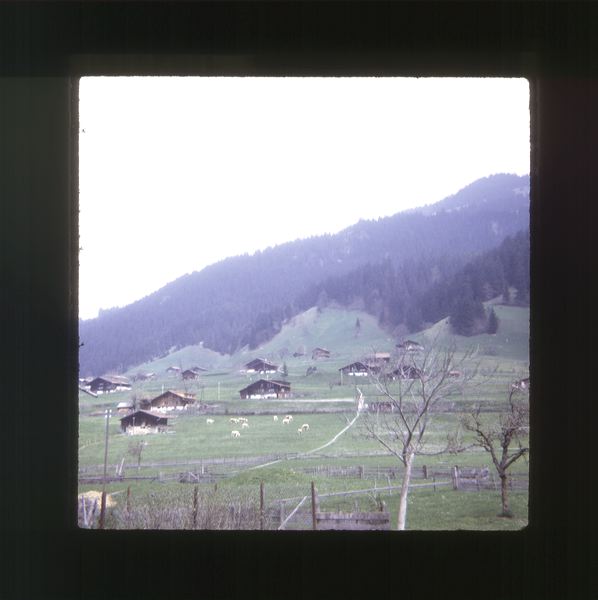 scan0033.jpg