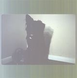 scan0005