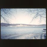 scan0046