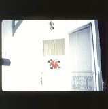 scan0076