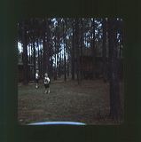 scan0004