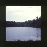 scan0010