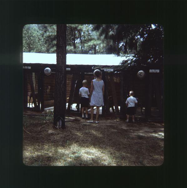 scan0001.jpg