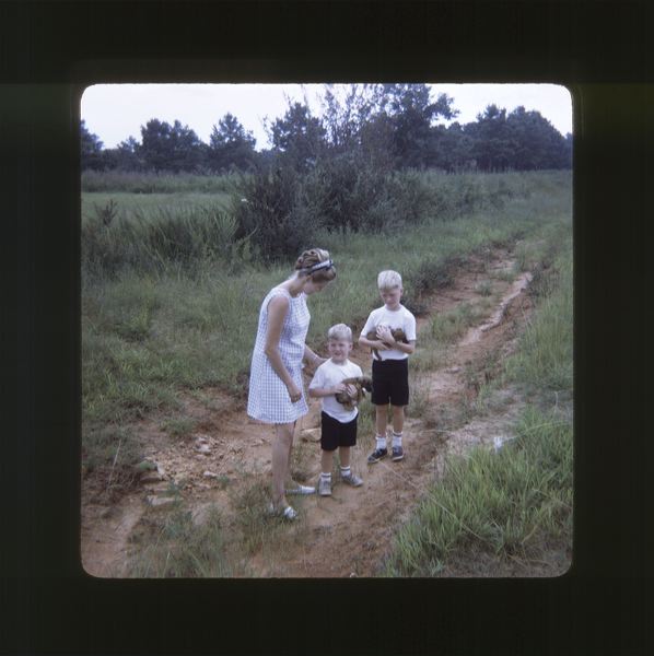 scan0003.jpg
