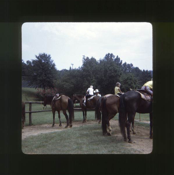 scan0012.jpg