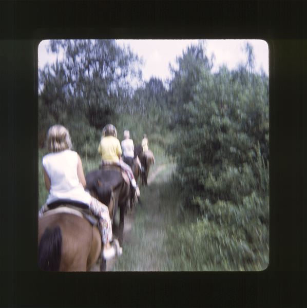 scan0013.jpg