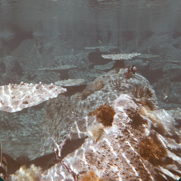 scan0046.jpg
