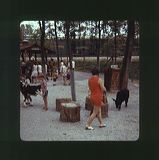 scan0050