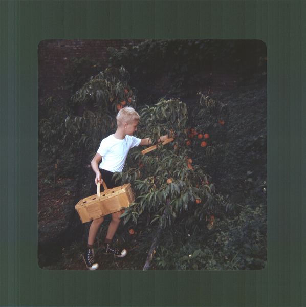 scan0003.jpg