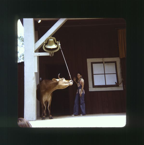 scan0039.jpg