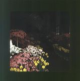 scan0079