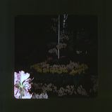 scan0080