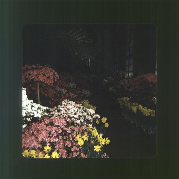 scan0079.jpg