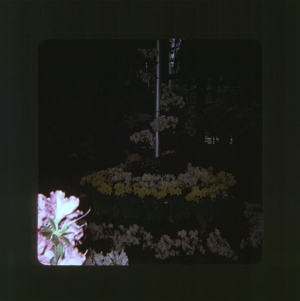scan0080.jpg