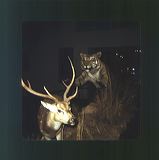 scan0034