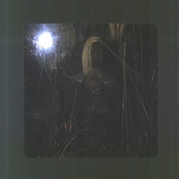 scan0036.jpg