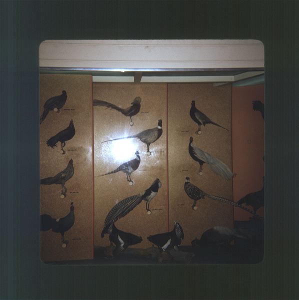 scan0037.jpg