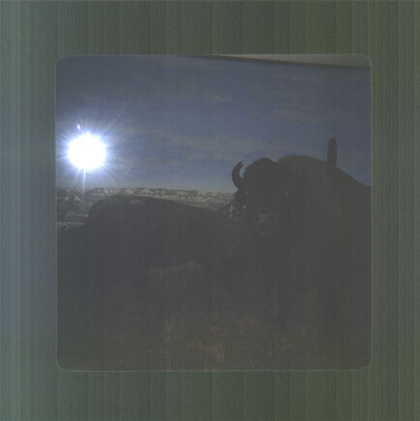 scan0041.jpg
