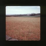 scan0002
