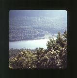 scan0050