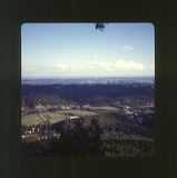 scan0054
