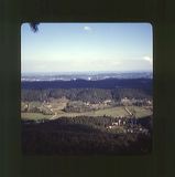 scan0055