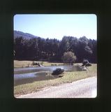 scan0065