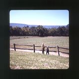 scan0066