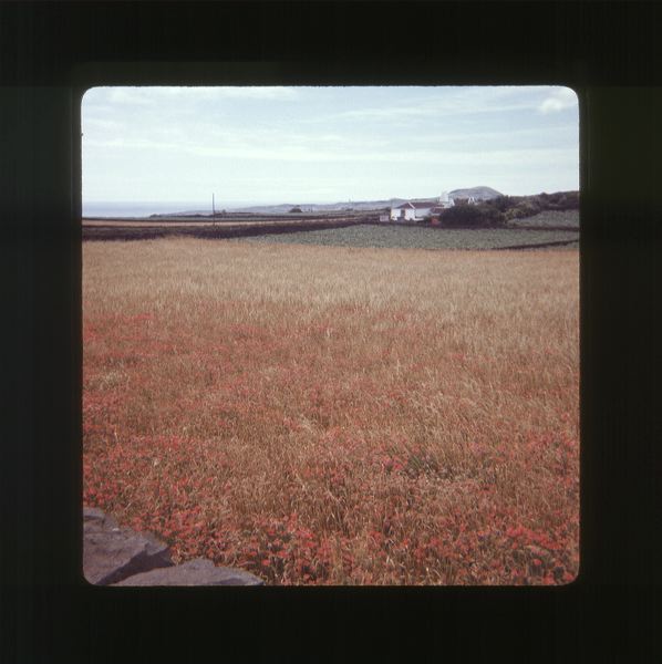 scan0002.jpg