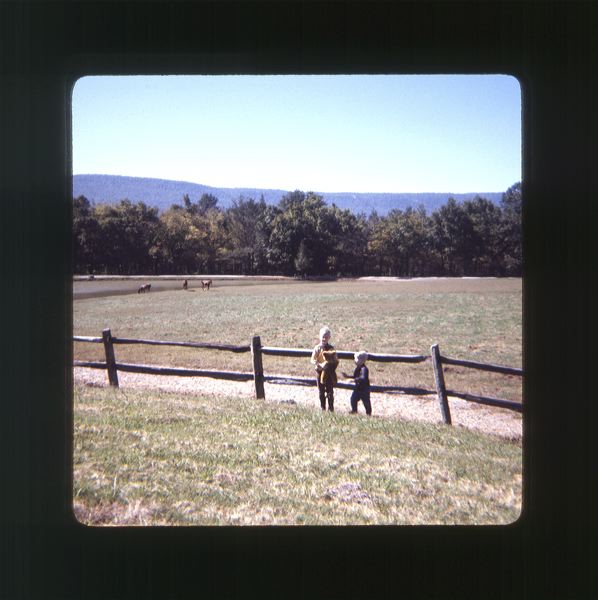 scan0066.jpg