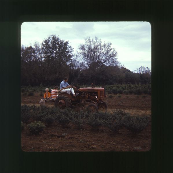 scan0069.jpg