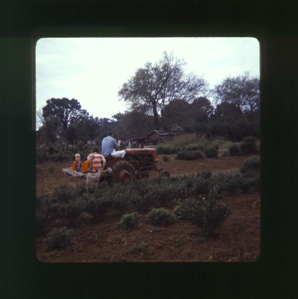 scan0070.jpg