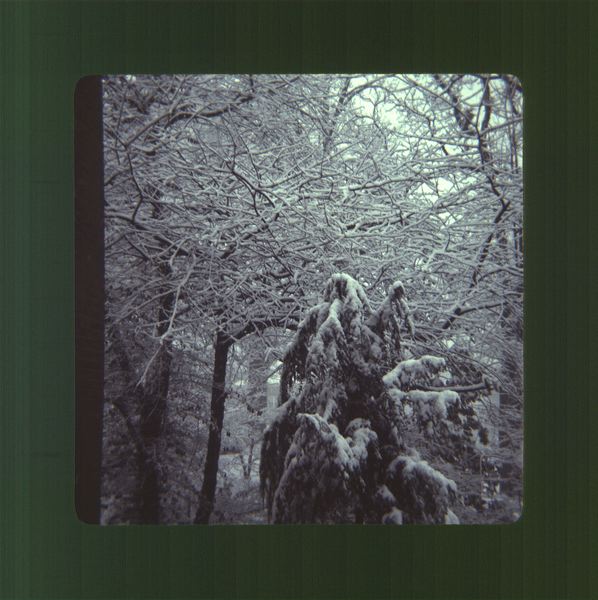 scan0078.jpg