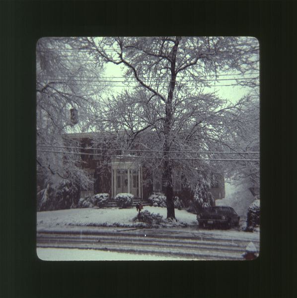 scan0079.jpg