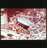 scan0029-flip