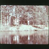 scan0038