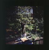 scan0054