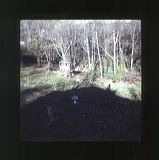 scan0060