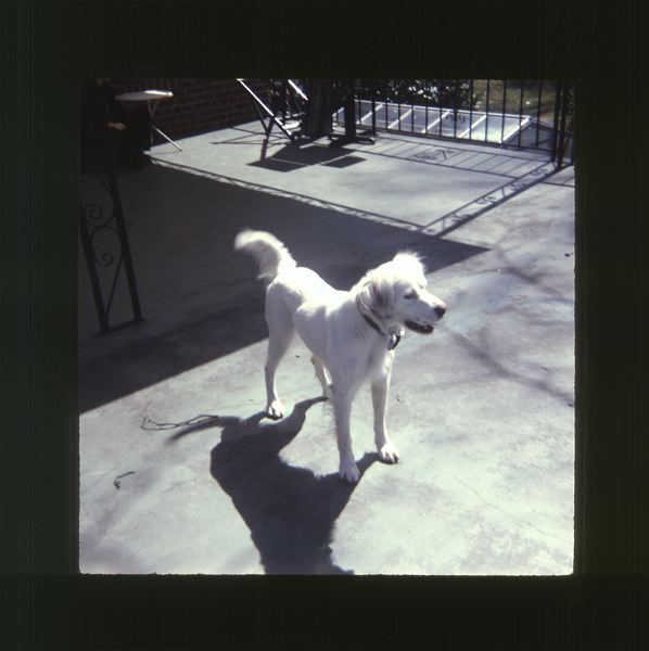 scan0061.jpg